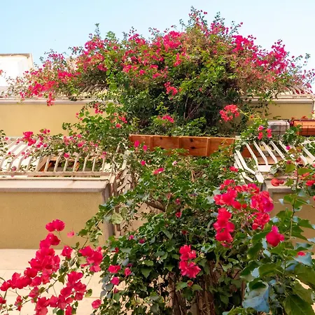 Il Pesco Appartement *